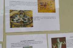 IMG-20220624-WA0006