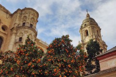 2b297148-e541-4b9e-9879-6bebc1bb4f62