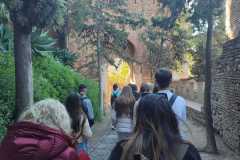 IMG-20250116-WA0008