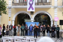 DíaContraViolencia-5
