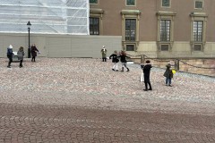 image_6483441-2