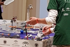 FLL-2019-2-6