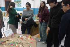 IMG-20231211-WA0038