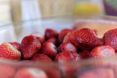 IMG-20230328-WA0008