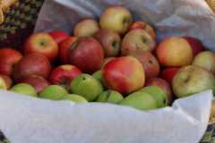 IMG-20230328-WA0017