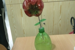 Foto-11